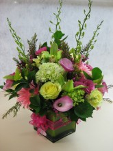 Pink and Green Square