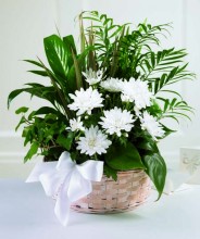 Peaceful Garden Basket