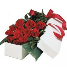 One Dozen Boxed Roses