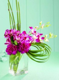 Cosmopolitan Bouquet