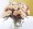 Monticello Rose Bouquet