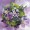 Lavender Garden Bouquet