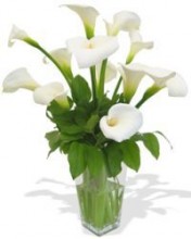 Calla Lilly Vase