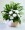 Peaceful Garden Basket