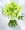 Enlightened Love Bouquet