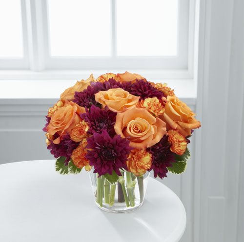 b8-4346-27791-zoom.jpg