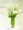 Simple Sophistication Arrangement
