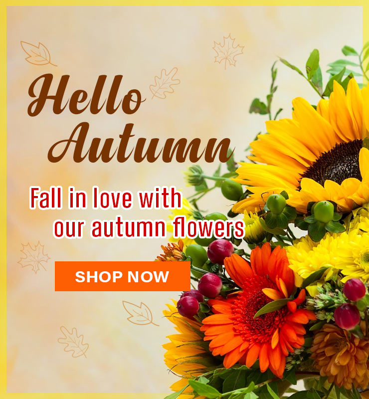 Northern Blvd Florist Fall Flowers