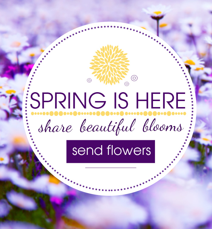 Northern Blvd Florist Spring Day Flowers