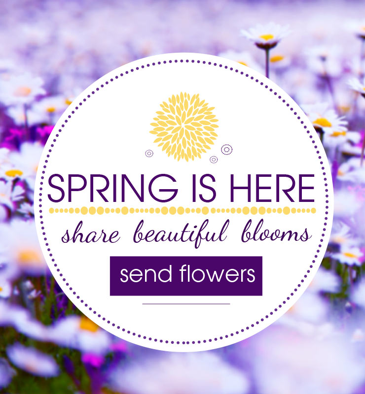 Spring Flowers